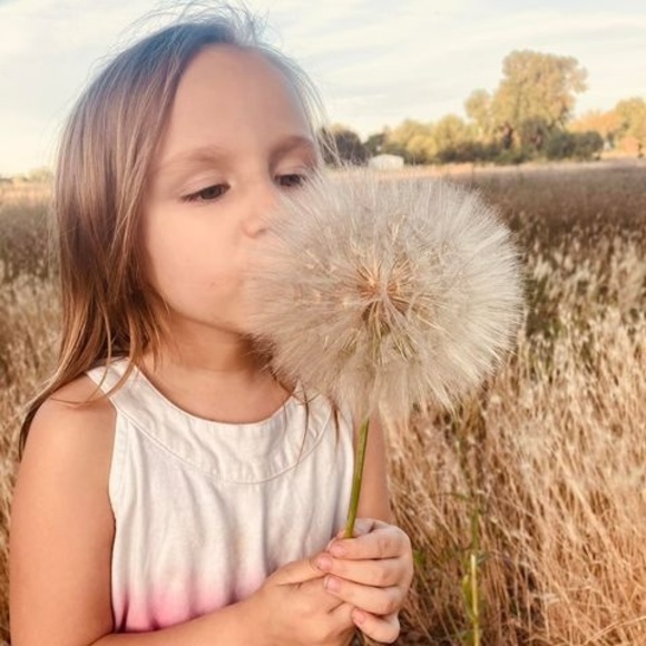 Meet your Posher, Jodi - Picture 1 of 1